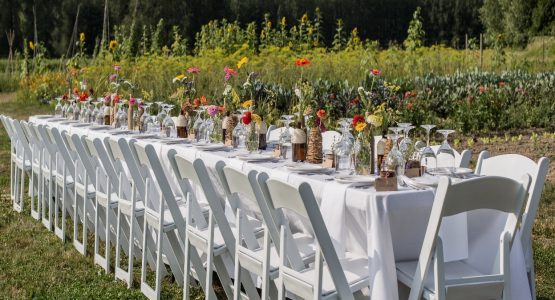 Wedding chairs